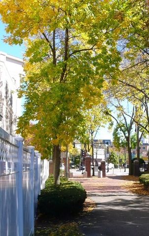 2440 Massachusetts Ave 8, Cambridge, MA 02140