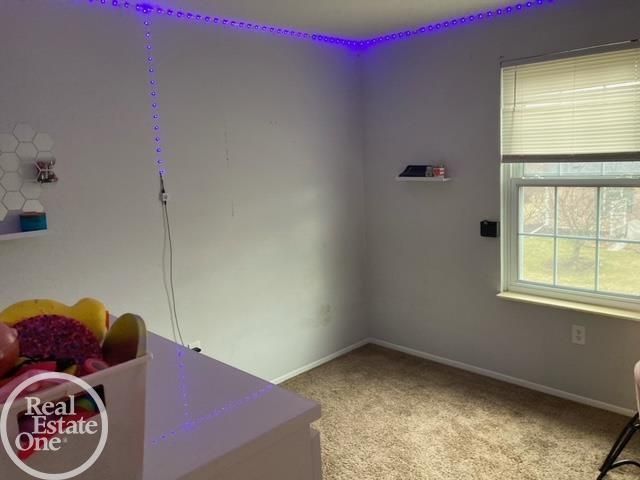 24404 Meadowbridge Road, Clinton Twp, MI 48035