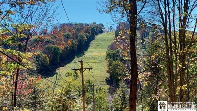 6710 Upper Road, Ellicottville, NY 14731