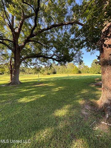 726 Henleyfield Mcneill Road, Carriere, MS 39426