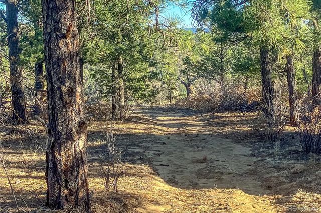 13240 Big Pine Ridge Road, Weston, CO 81091