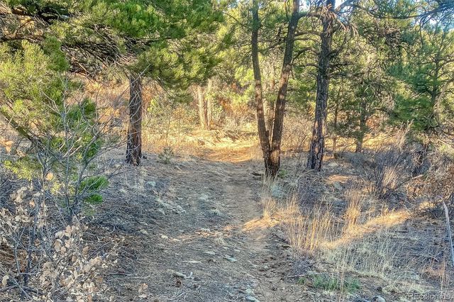 13240 Big Pine Ridge Road, Weston, CO 81091