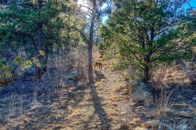 13240 Big Pine Ridge Road, Weston, CO 81091