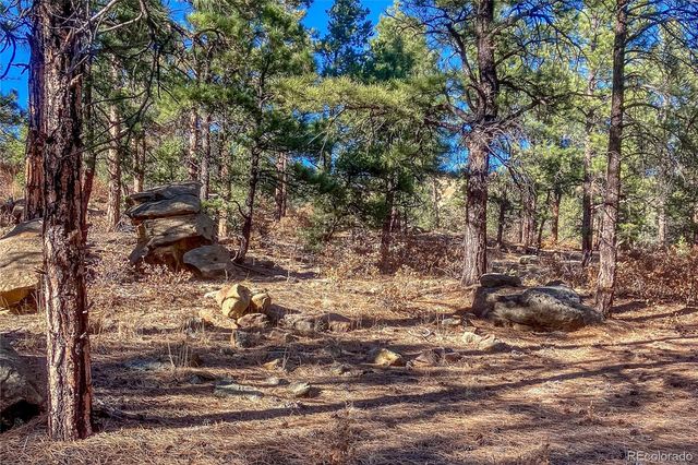 13240 Big Pine Ridge Road, Weston, CO 81091