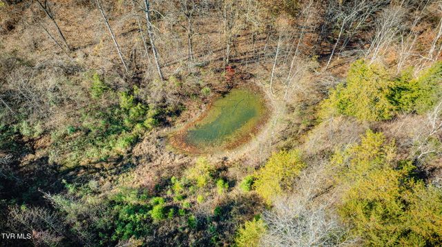 567 Long Town Road, Bulls Gap, TN 37711