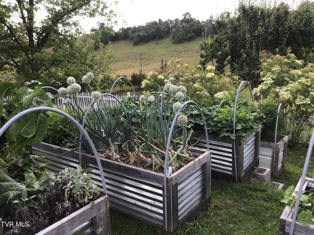 567 Long Town Road, Bulls Gap, TN 37711