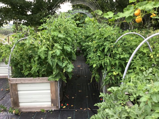 567 Long Town Road, Bulls Gap, TN 37711