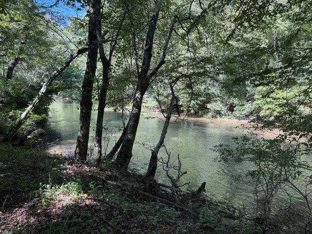 48 Riverwood Trail, Ellijay, GA 30540