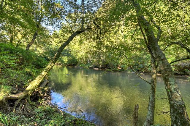48 Riverwood Trail, Ellijay, GA 30540