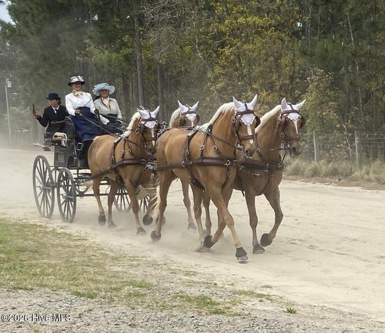 146 Jean Marie Lane, Vass, NC 28394