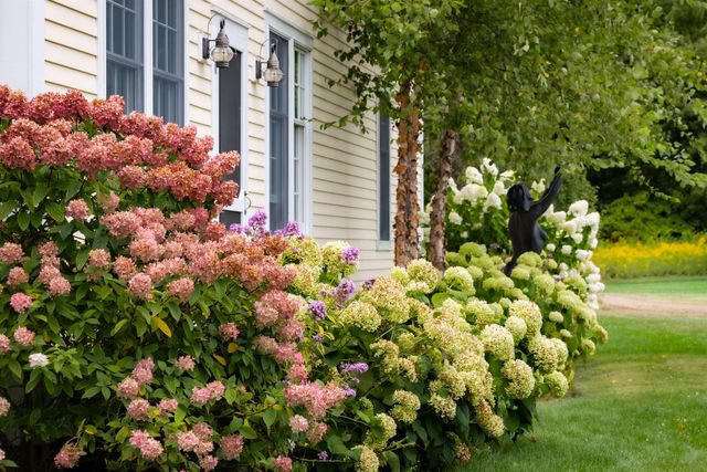 235 Primrose Lane, Ferrisburgh, VT 05456