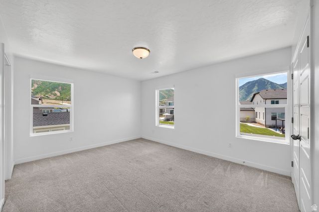 1165 W UNION BENCH DR, Mapleton, UT 84664