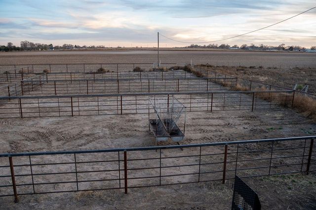 7811 N County Road 1540, Shallowater, TX 79363