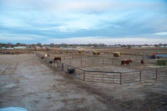 7811 N County Road 1540, Shallowater, TX 79363