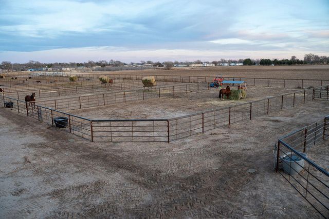 7811 N County Road 1540, Shallowater, TX 79363