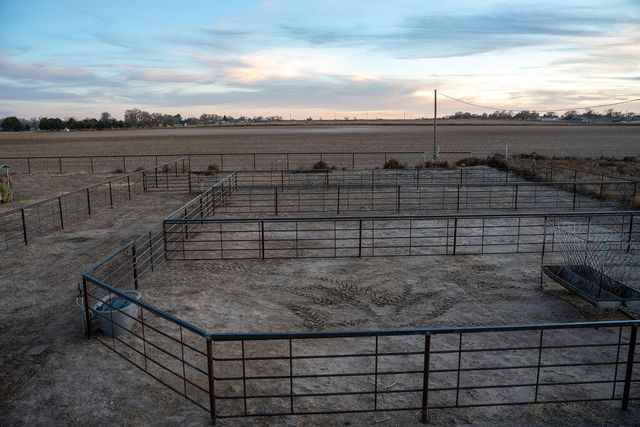 7811 N County Road 1540, Shallowater, TX 79363