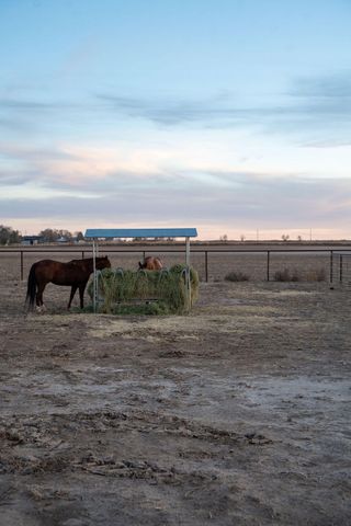 7811 N County Road 1540, Shallowater, TX 79363