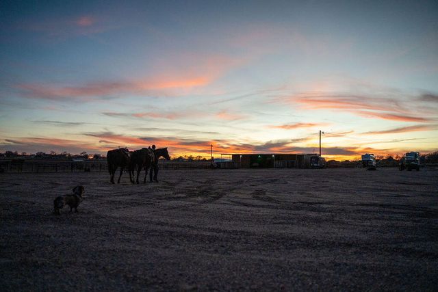 7811 N County Road 1540, Shallowater, TX 79363