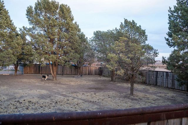 7811 N County Road 1540, Shallowater, TX 79363