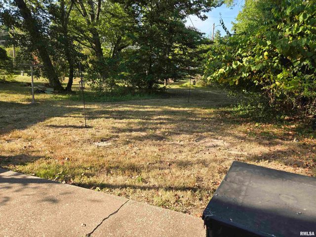 1110 W Walkup Street, Carbondale, IL 62901