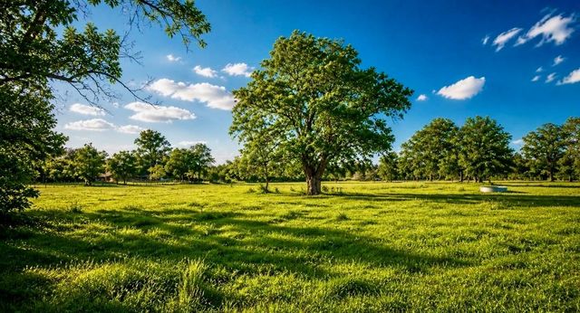0 County Road 42, Rosharon, TX 77583
