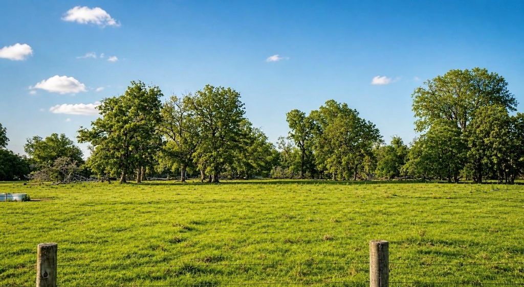 0 County Road 42, Rosharon, TX 77583