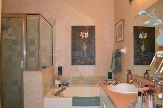 30114 EMMETTS COURT, Wesley Chapel, FL 33543