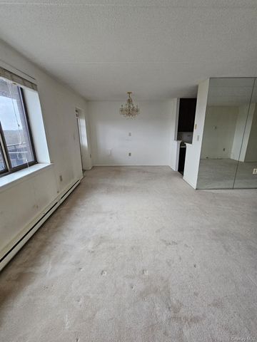 160 academy Street 8C, Poughkeepsie, NY 12601