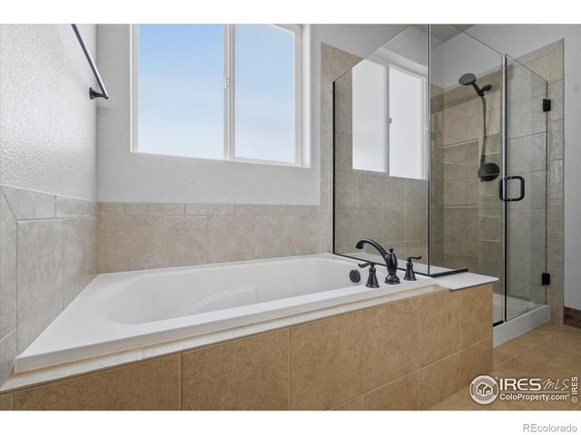 1897 Holloway Drive, Windsor, CO 80550