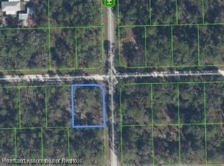 1001 Hummingbird Street, Lake Placid, FL 33852