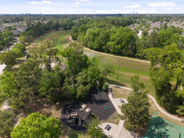 1602 Haylie Hollow Court, Spring, TX 77386