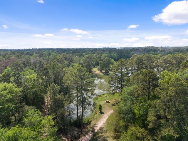1602 Haylie Hollow Court, Spring, TX 77386