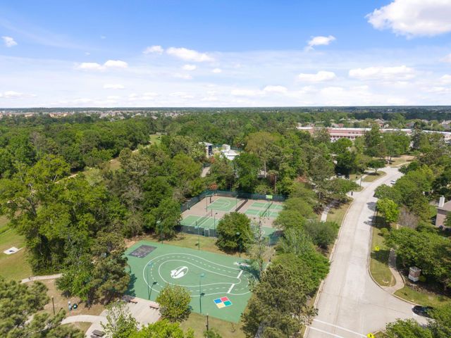 1602 Haylie Hollow Court, Spring, TX 77386