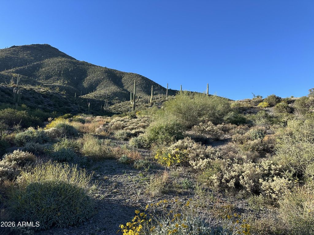 Image 6 of property listing at 43252 N Chiricahua Pass 347, Scottsdale, AZ 85262