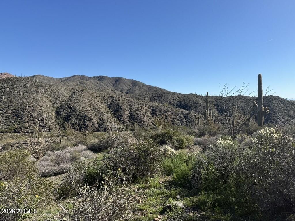 Image 8 of property listing at 43252 N Chiricahua Pass 347, Scottsdale, AZ 85262