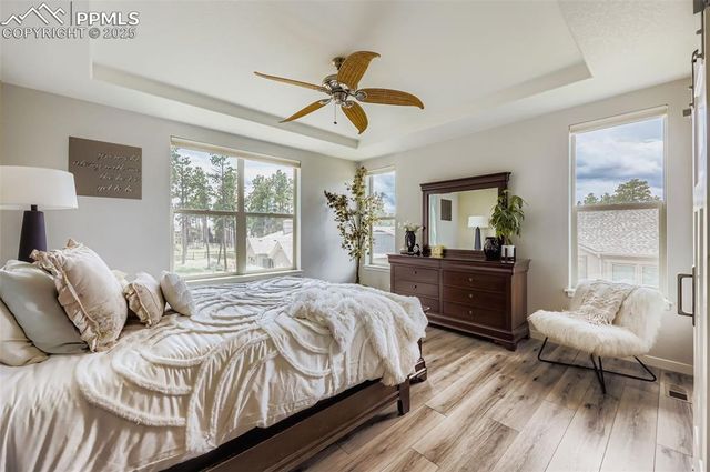 1621 Lazy Cat Lane, Monument, CO 80132