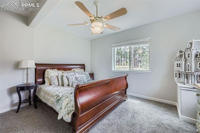 1621 Lazy Cat Lane, Monument, CO 80132