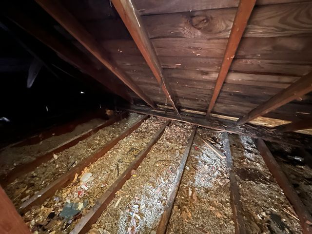 8239 S Kenwood Avenue, Chicago, IL 60619