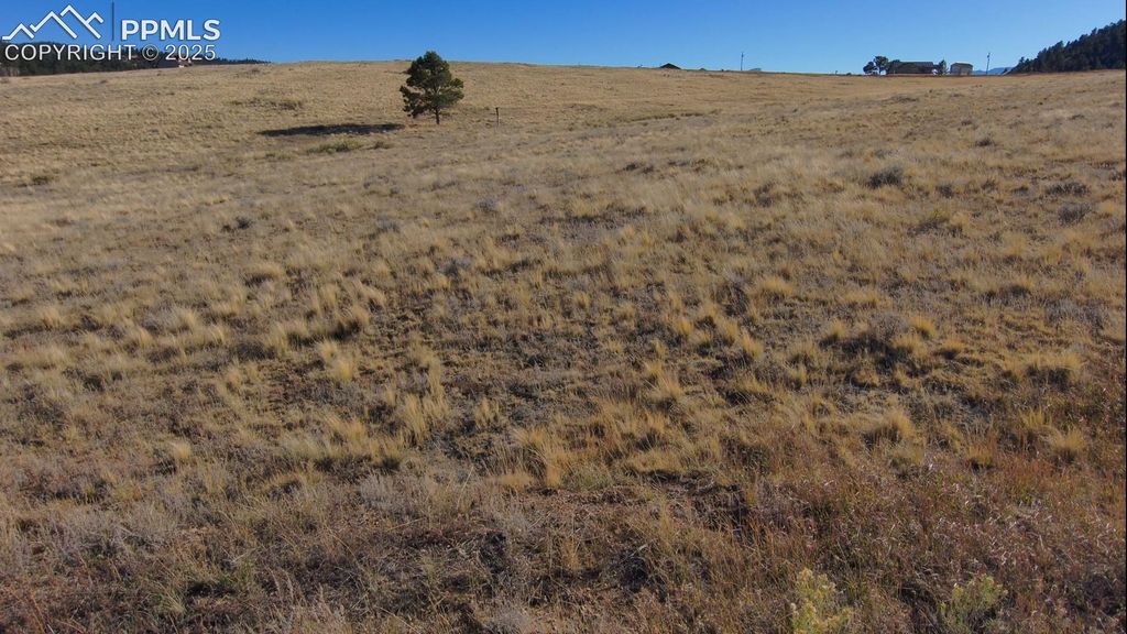 152 Wulstein Way, Westcliffe, CO 81252 — exterior