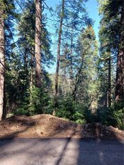 687 Spring Drive, Cedarpines Park, CA 92322