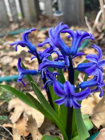 206 Mead Street, Eau Claire, WI 54703