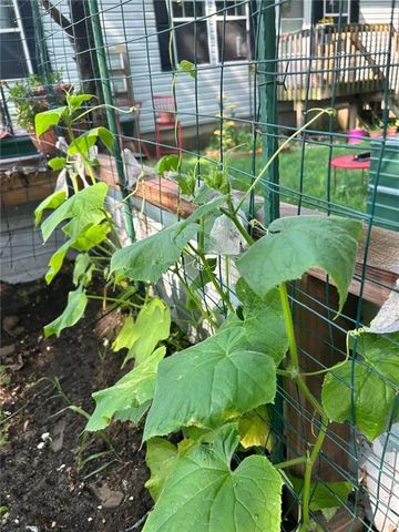 206 Mead Street, Eau Claire, WI 54703