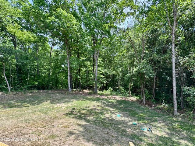 8780 E Thunderbird Drive, Hernando, MS 38632