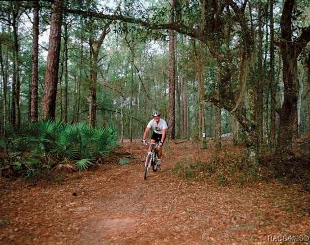 54 Grass Street, Homosassa, FL 34446