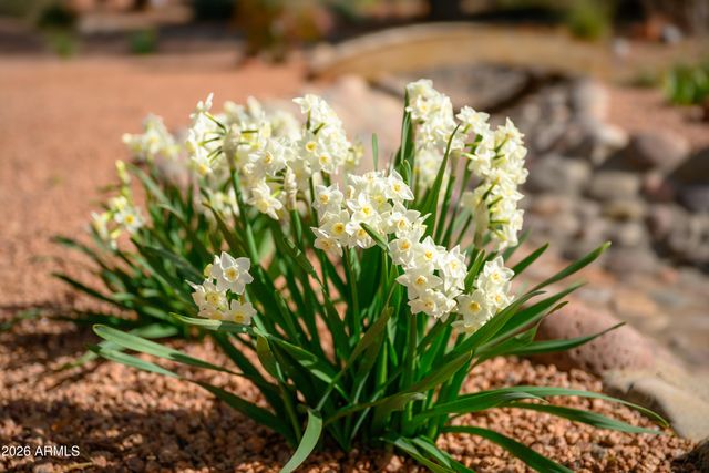 190 CREEK ROCK Road, Sedona, AZ 86351