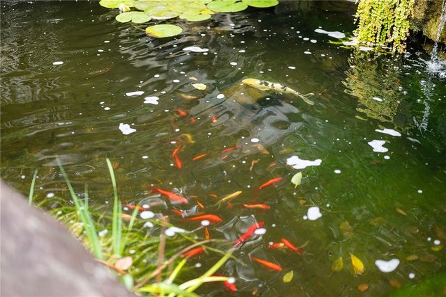 2779 Clearview Road, Hampton, PA 15101