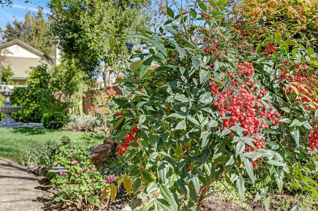 11909 Rising Sun Way, Gold River, CA 95670