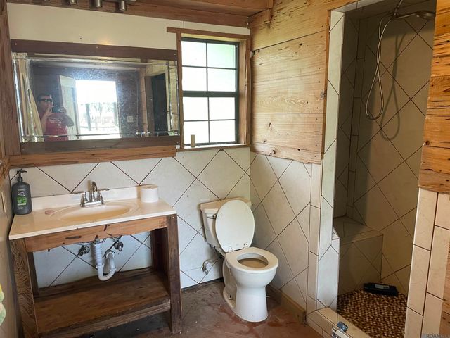 13195 Perch St, Maurepas, LA 70449