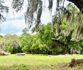 1031 ORANGE BOULEVARD, Polk City, FL 33868