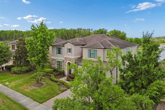 13218 BATTEN LANE, Odessa, FL 33556